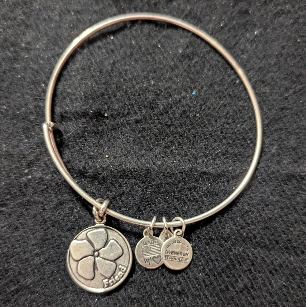 Alex and Ani Silver Tone Flower Friend Charm Bracelet
